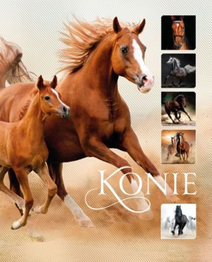 Konie – ebook