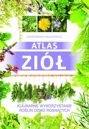 Atlas ziół. Kulinarne wykorzystanie roślin dziko rosnących – ebook