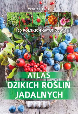 Atlas dzikich roślin jadalnych – ebook