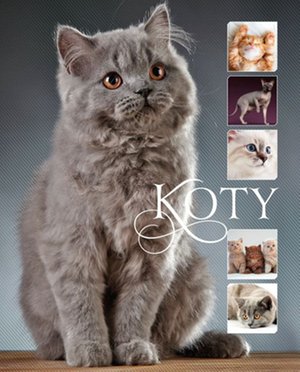 Koty – ebook