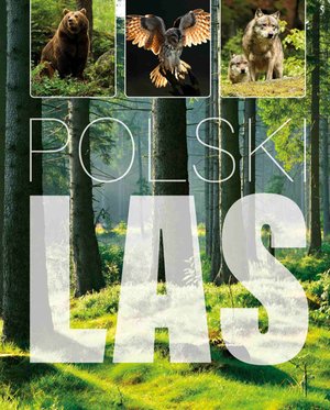 Polski las – ebook