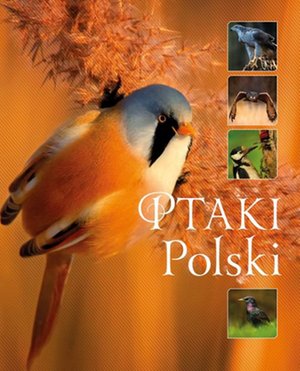Ptaki Polski (Wyd. 2016) – ebook