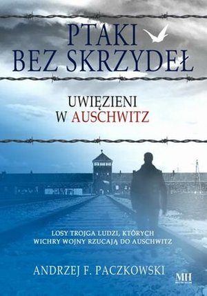 Ptaki bez skrzydeł – ebook
