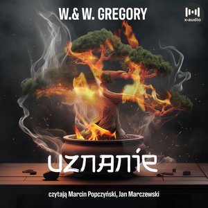 Uznanie – audiobook