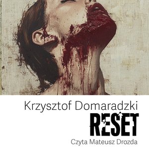 Reset – audiobook