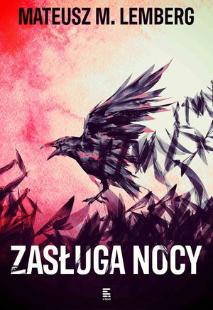 Zasługa nocy – ebook