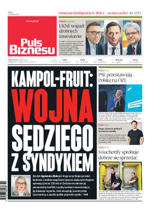 Puls Biznesu – e-wydanie – 241/2025