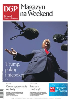 Dziennik Gazeta Prawna – e-wydanie – 241/2025