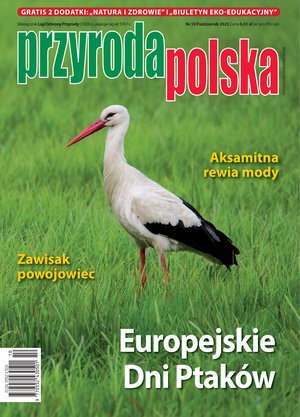 Przyroda Polska – e-wydanie – 10/2025