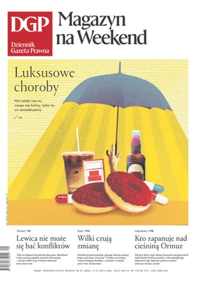 Dziennik Gazeta Prawna – e-wydanie – 137/2026