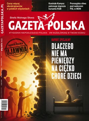 polityka, społeczno-informacyjne: Gazeta Polska – e-wydanie – 19/2026