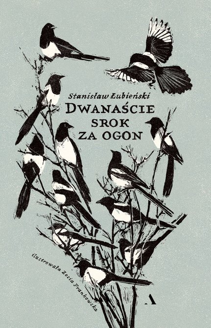 ebooki: Dwanaście srok za ogon – ebook