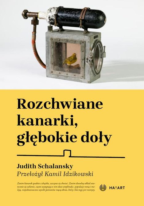 ebooki: Rozchwiane kanarki, głębokie doły – ebook
