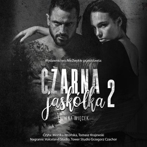 audiobooki: Czarna jaskółka 2 – audiobook