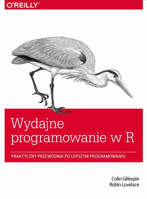 ebooki: Wydajne programowanie w R: Praktyczny przewodnik po lepszym programowaniu – ebook
