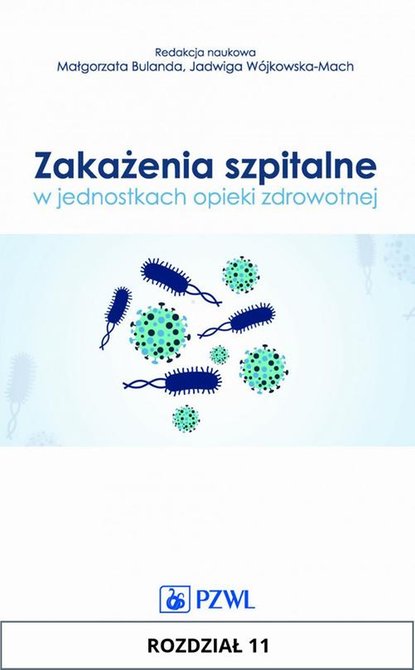 ebooki: Zakażenia szpitalne w jednostkach opieki zdrowotnej. Rozdział 11: Ochrona zdrowia personelu medycznego – ebook