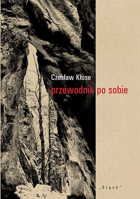 ebooki: Przewodnik po sobie – ebook