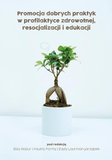 ebooki: Promocja dobrych praktyk w profilaktyce zdrowotnej, resocjalizacji i edukacji – ebook
