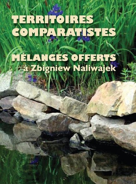 ebooki: Territoires comparatistes: Mélanges offerts à Zbigniew Naliwajek – ebook