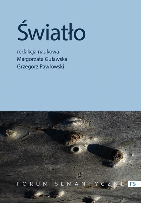 ebooki: Światło: Przyczynek do badań interdyscyplinarnych – ebook