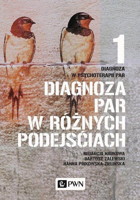 ebooki: Diagnoza w psychoterapii par. Tom 1. Diagnoza par w różnych podejściach – ebook