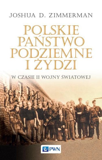 ebooki: Polskie Państwo Podziemne i Żydzi: w czasie II wojny światowej – ebook