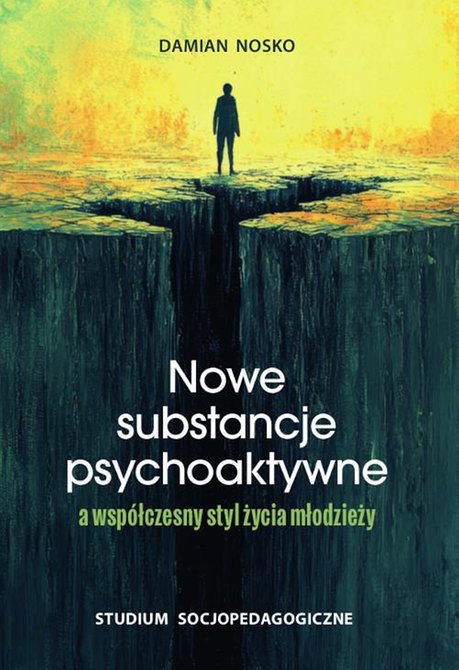 ebooki: Nowe substancje psychoaktywne a współczesny styl życia młodzieży. Studium socjopedagogiczne – ebook