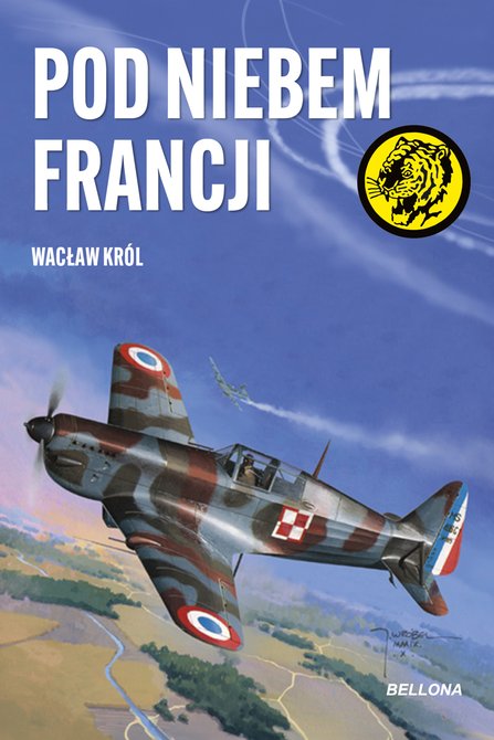 ebooki: Pod niebem Francji – ebook