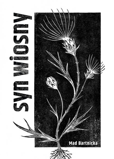 ebooki: Syn wiosny – ebook