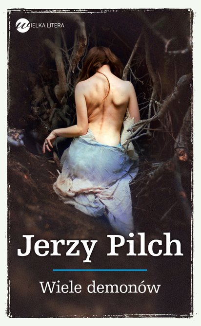 ebooki: Wiele demonów – ebook