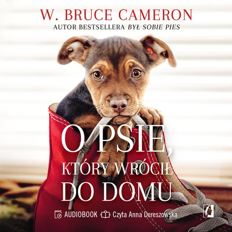 audiobooki: O psie, który wrócił do domu – audiobook