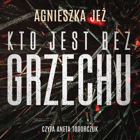 audiobooki: Kto jest bez grzechu – audiobook
