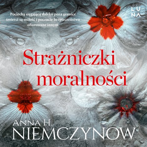 audiobooki: Strażniczki moralności – audiobook