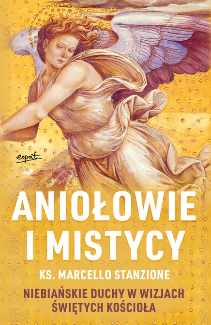 ebooki: Aniołowie i mistycy – ebook