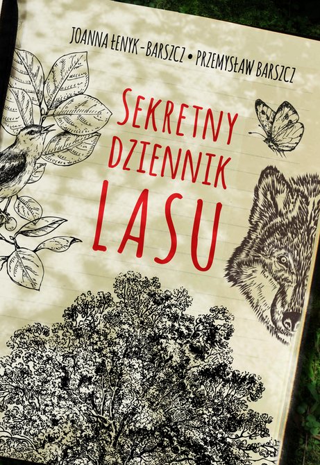ebooki: Sekretny dziennik lasu – ebook