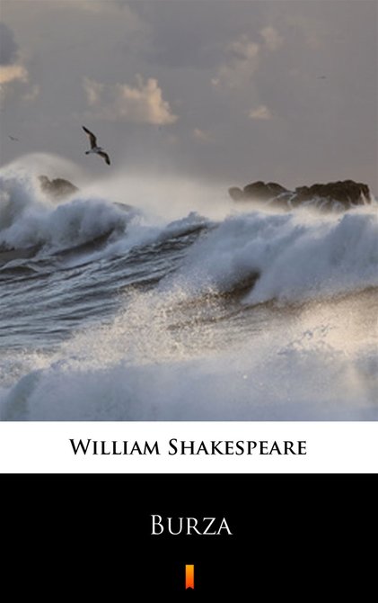ebooki: Burza – ebook