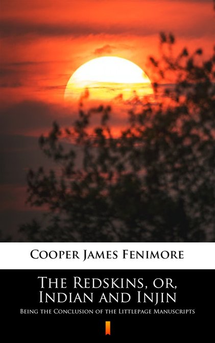 ebooki: The Redskins, or, Indian and Injin – ebook