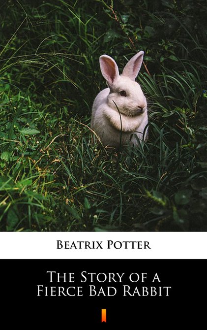 ebooki: The Story of a Fierce Bad Rabbit – ebook