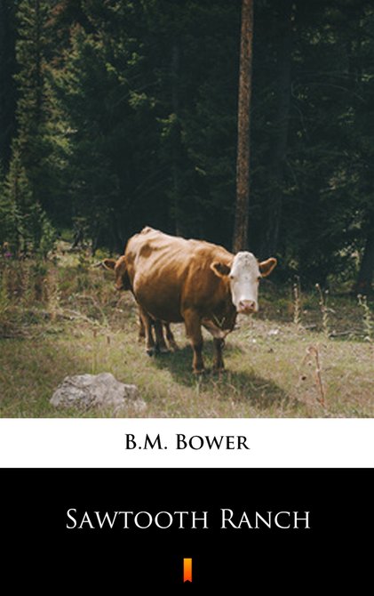 ebooki: Sawtooth Ranch – ebook