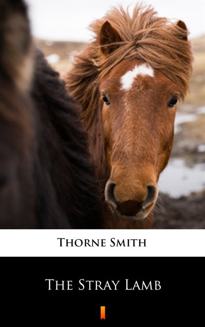 ebooki: The Stray Lamb – ebook