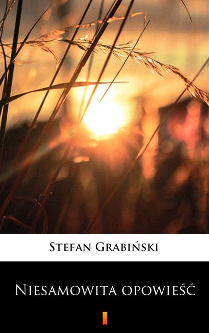 ebooki: Niesamowita opowieść – ebook