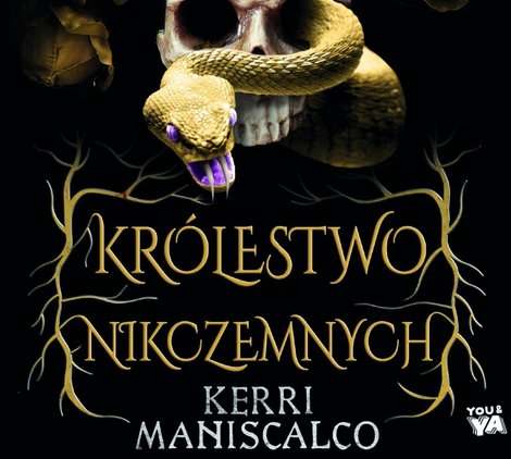 audiobooki: Królestwo Nikczemnych – audiobook