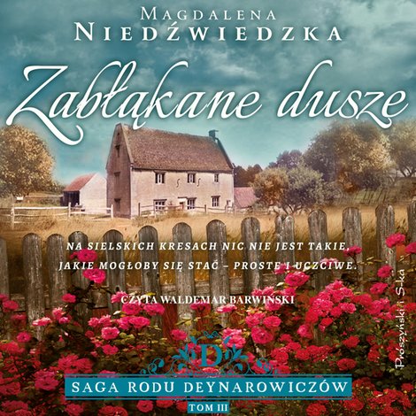 audiobooki: Zabłąkane dusze – audiobook