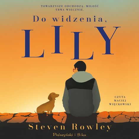 audiobooki: Do widzenia, Lily – audiobook