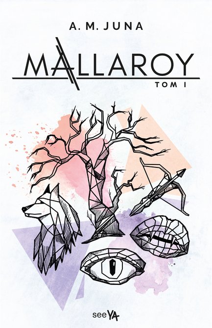 ebooki: Mallaroy – ebook