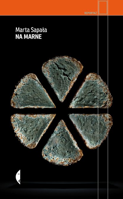 ebooki: Na marne – ebook