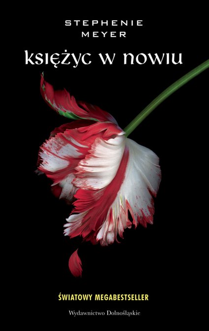 ebooki: Księżyc w nowiu – ebook