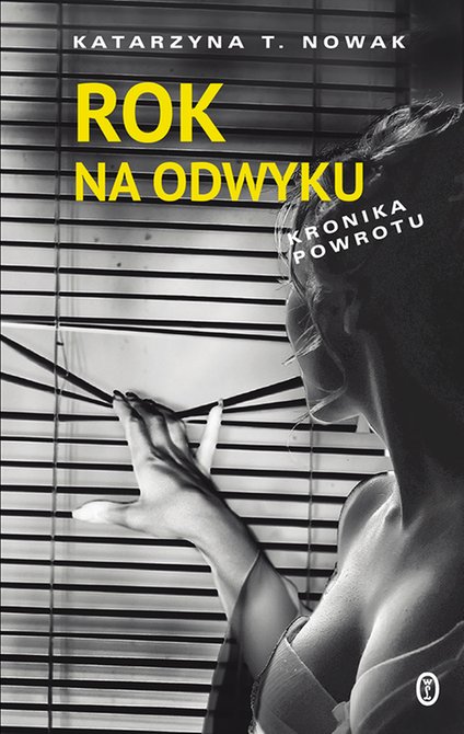 ebooki: Rok na odwyku – ebook