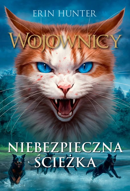 audiobooki: Wojownicy tom 5: Niebezpieczna ścieżka, Wojownicy, Tom V – audiobook