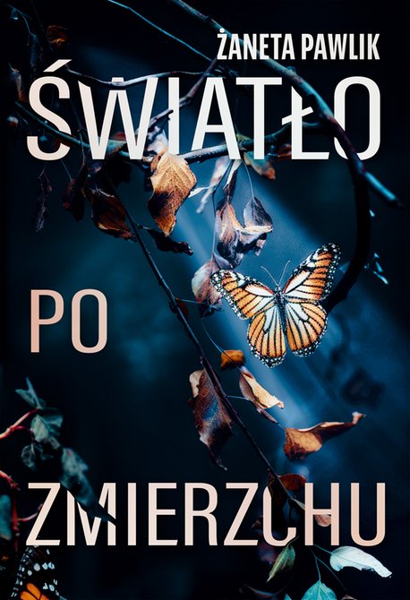 ebooki: Światło po zmierzchu – ebook